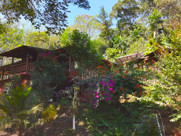 Spacious Cabin Tucked in the Forest in Perez Zeledon, Costa Rica